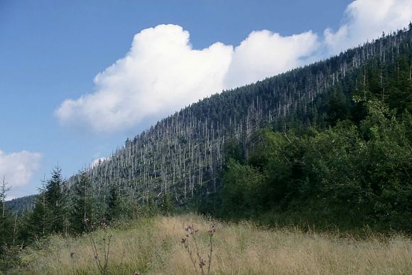 Přírodní rezervace Smrk (foto F. Jaskula)