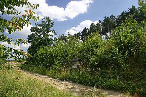 Přírodní památka Borky (27. 7. 2005)