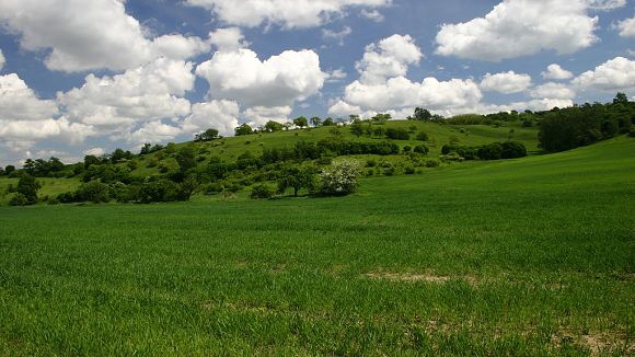 Přírodní památka Horky (20. 5. 2006)