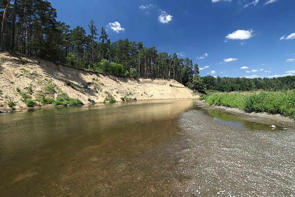 Přírodní památka Osypané břehy (3. 7. 2018)