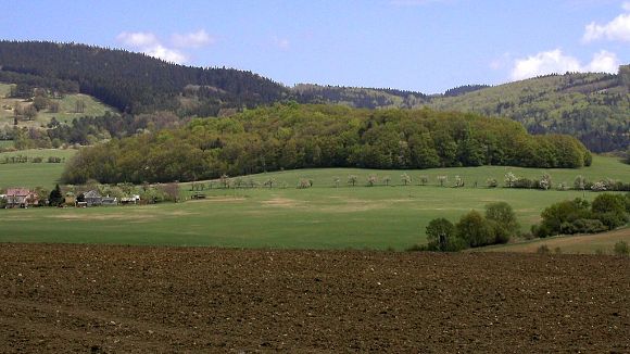 Navrhovaná přírodní památka Hůrka (1. 5. 2003), foto © Zdeněk Podešva