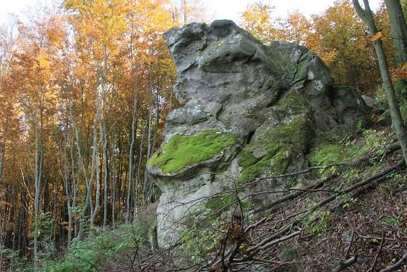 PP Kazatelna na podzim 2011 s vymýceným porostem (31. 10. 2011)