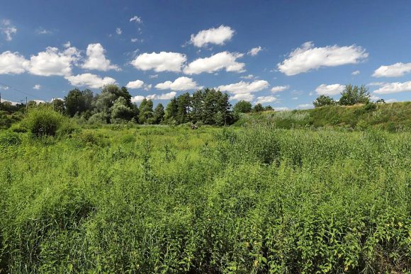 Přírodní památka Mokřad Pumpák (30. 6. 2020), foto © Zdeněk Podešva