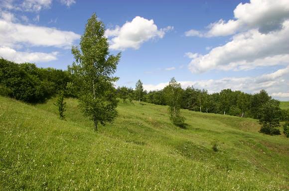 Přírodní památka Přehon (2. 7. 2004), foto © Zdeněk Podešva