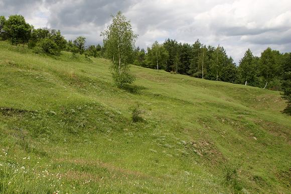 Přírodní památka Přehon (2. 7. 2004), foto © Zdeněk Podešva