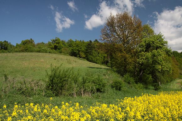 Skalka u Trňáku (8. 5. 2011), foto © Zdeněk Podešva