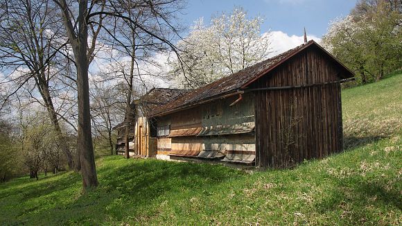 Starý včelín v přírodní památce Včelín (16. 4. 2011)