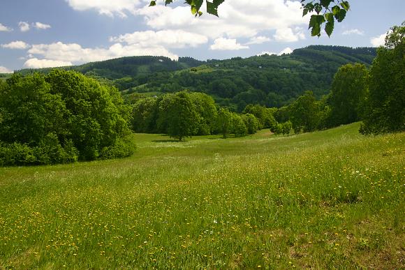 Přírodní památka V Krátkých, suché louky v horní části (23. 5. 2009), foto © Zdeněk Podešva