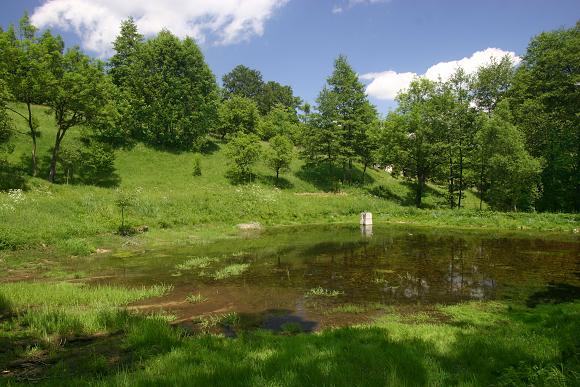 Přírodní památka V Krátkých, jeden z rybníčků (23. 5. 2009), foto © Zdeněk Podešva