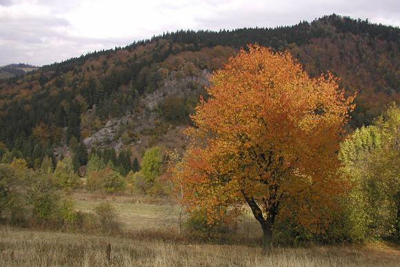 Pulčínské skály (19. 10. 2003), foto © Zdeněk Podešva