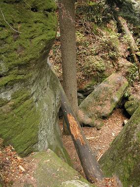 Skalní město Izby (19. 10. 2003), foto © Zdeněk Podešva