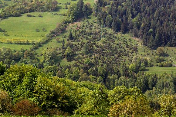 Přírodní památka Uherská - pohled z PR Galovské lúky (15. 5. 2004) , foto © Zdeněk Podešva