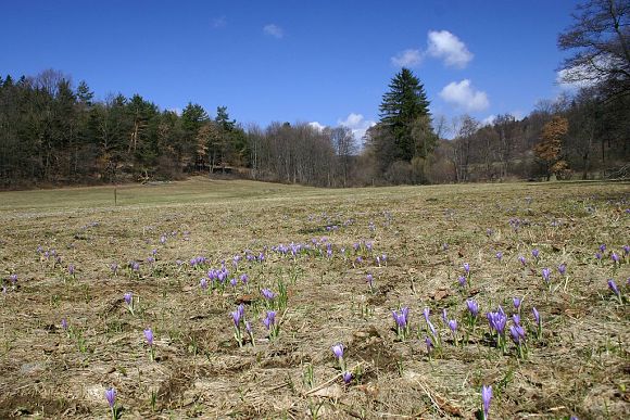 Přírodní památka Smolinka (15. 4. 2006)