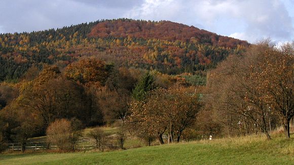 Přírodní památka Vela od Lukova (4. 11. 2003), foto © Zdeněk Podešva